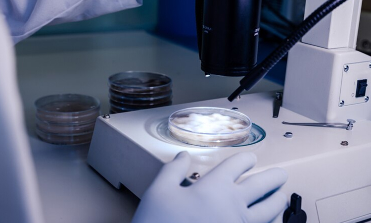 Исследования и разработки материалов